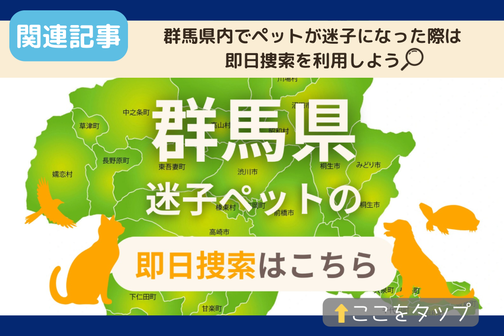 群馬県でのペット捜索に関連する記事をご紹介