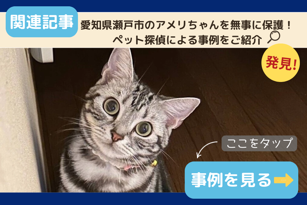 愛知県瀬戸市のアメリちゃんを無事に保護！ペット探偵による事例をご紹介