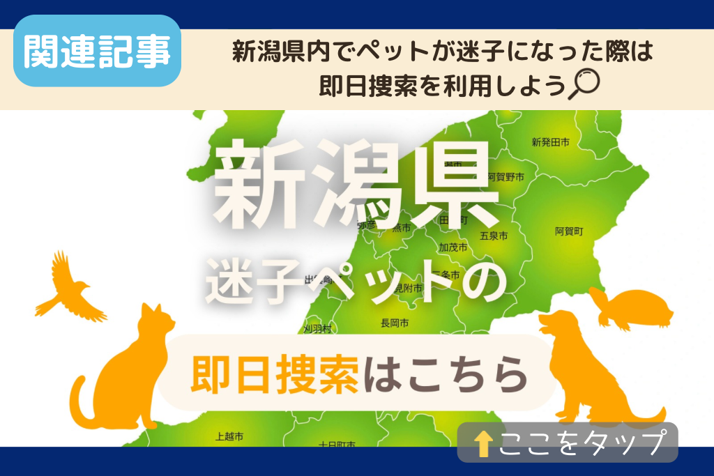 新潟県でのペット捜索に関連する記事をご紹介
