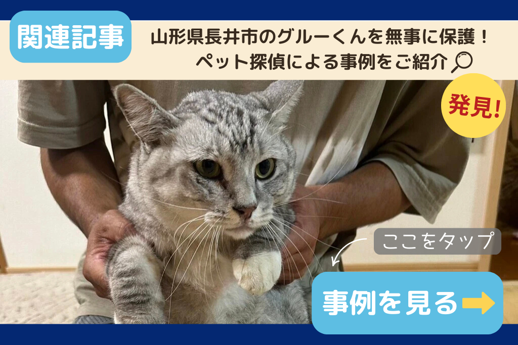 山形県長井市のグルーくんを保護！ペット探偵による事例をご紹介