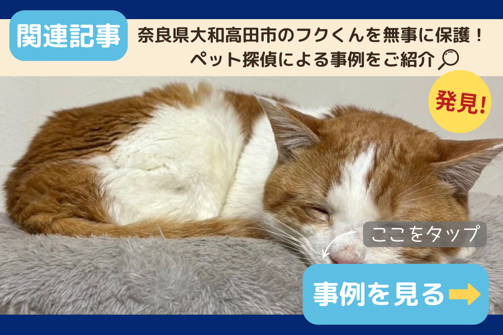 奈良県大和高田市のフクくんを無事に保護!ペット探偵による事例をご紹介
