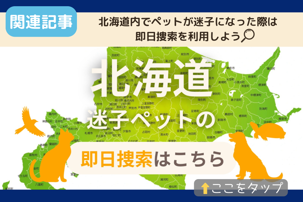 北海道でのペット捜索に関連する記事をご紹介