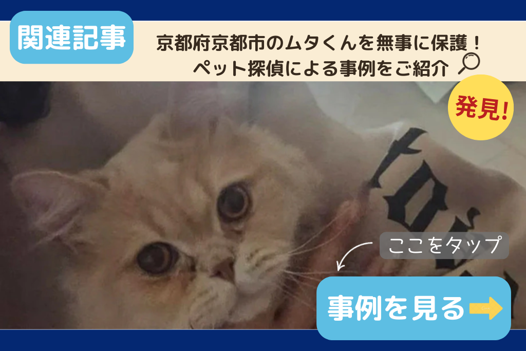 京都府京都市のムタくんを無事に保護！ペット探偵による事例をご紹介