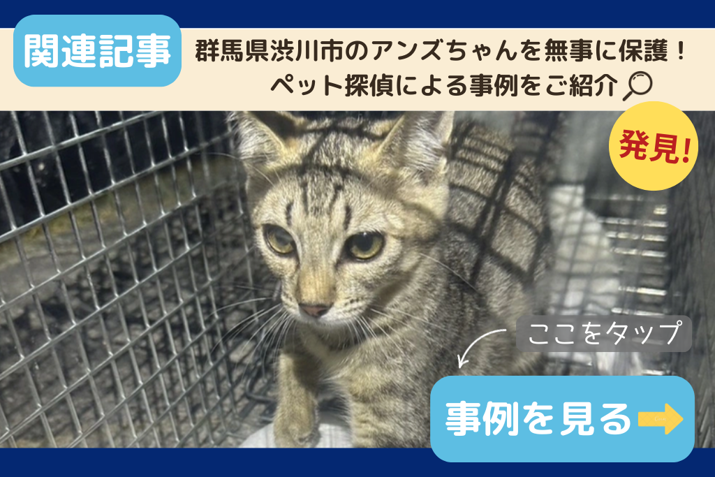 群馬県渋川市のアンズちゃんを無事に保護！ペット探偵による事例をご紹介