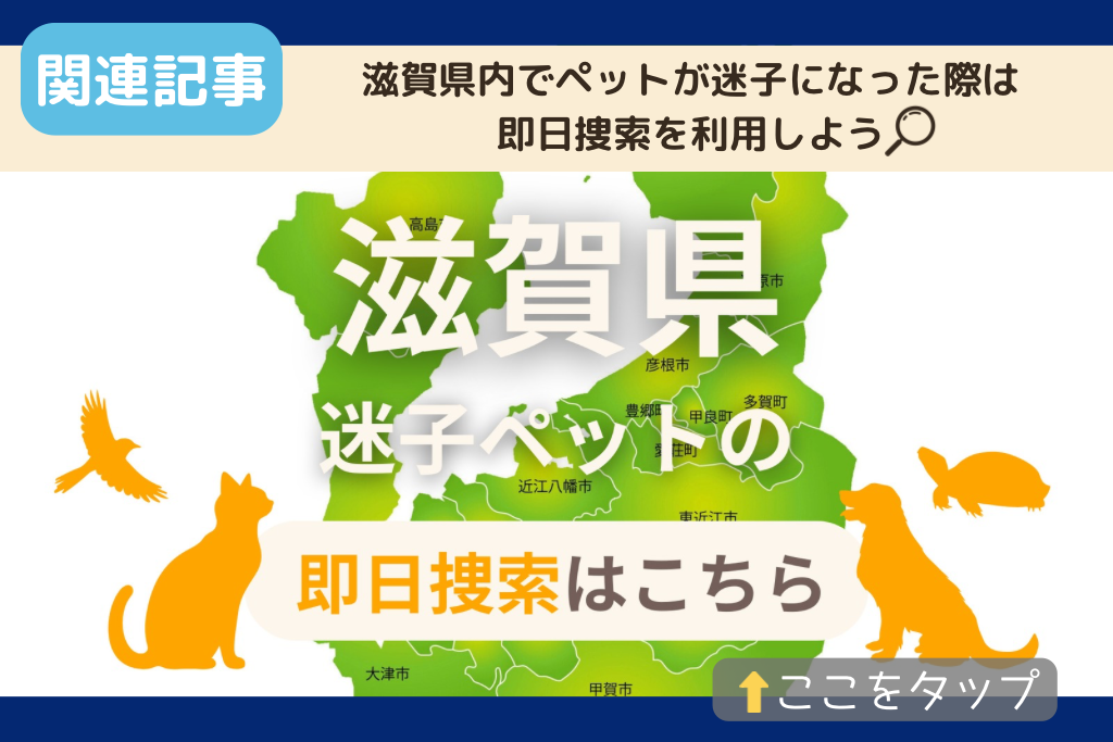 滋賀県でのペット捜索に関連する記事をご紹介