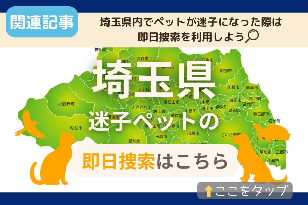 埼玉県でのペット捜索に関連する記事をご紹介