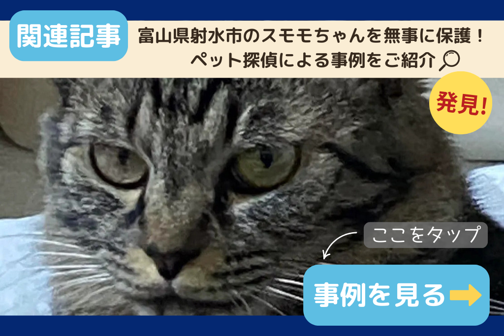 【迷子猫】富山県射水市のスモモちゃんを無事に保護！ペット探偵による事例をご紹介