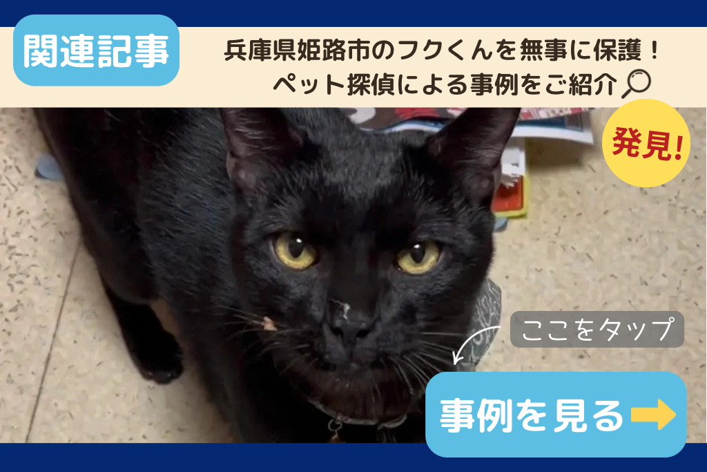 兵庫県姫路市のフクくんを無事に保護!ペット探偵による事例をご紹介