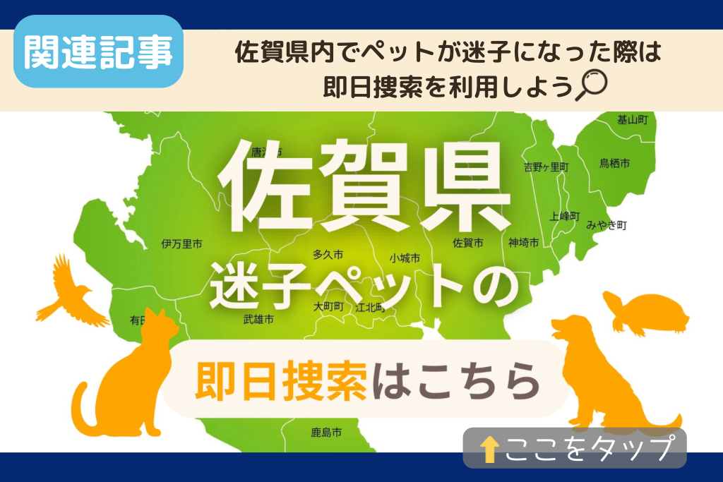 佐賀県でのペット捜索に関連する記事をご紹介