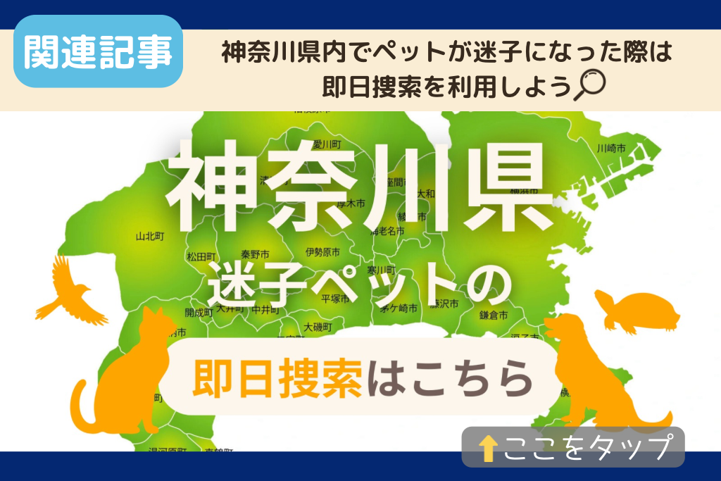 神奈川県でのペット捜索に関連する記事をご紹介