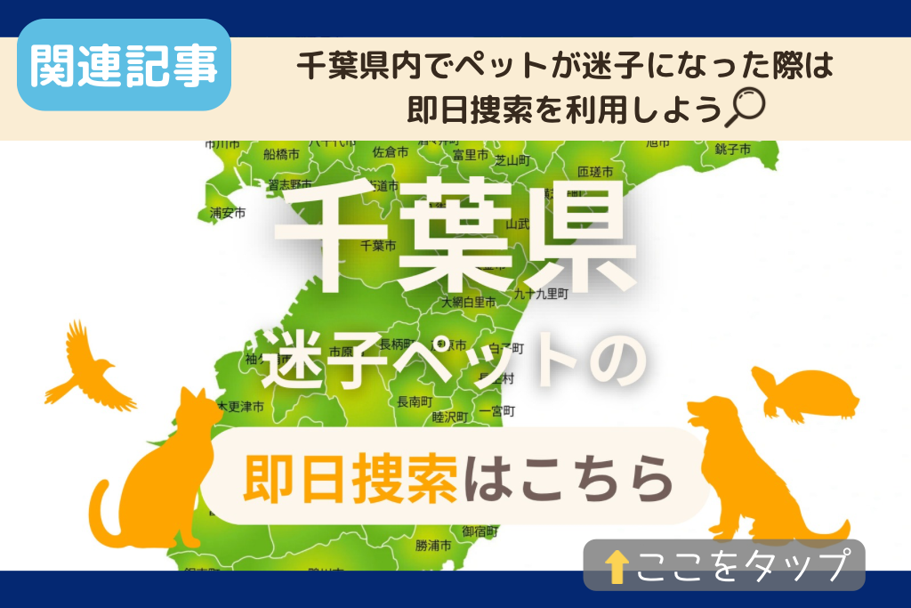 千葉県でのペット捜索に関連する記事をご紹介