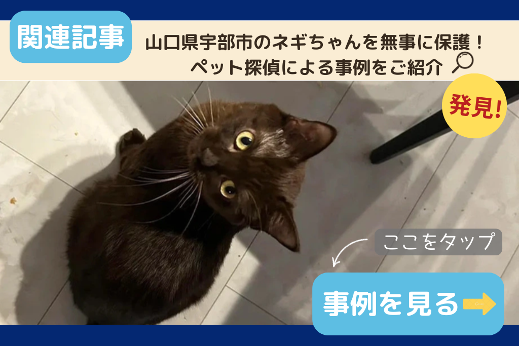 山口県宇部市のネギちゃんを無事に保護!ペット探偵による事例をご紹介