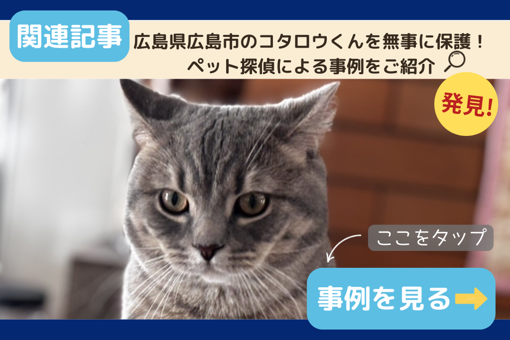 広島県広島市のコタロウくんを無事に保護！ペット探偵による事例をご紹介
