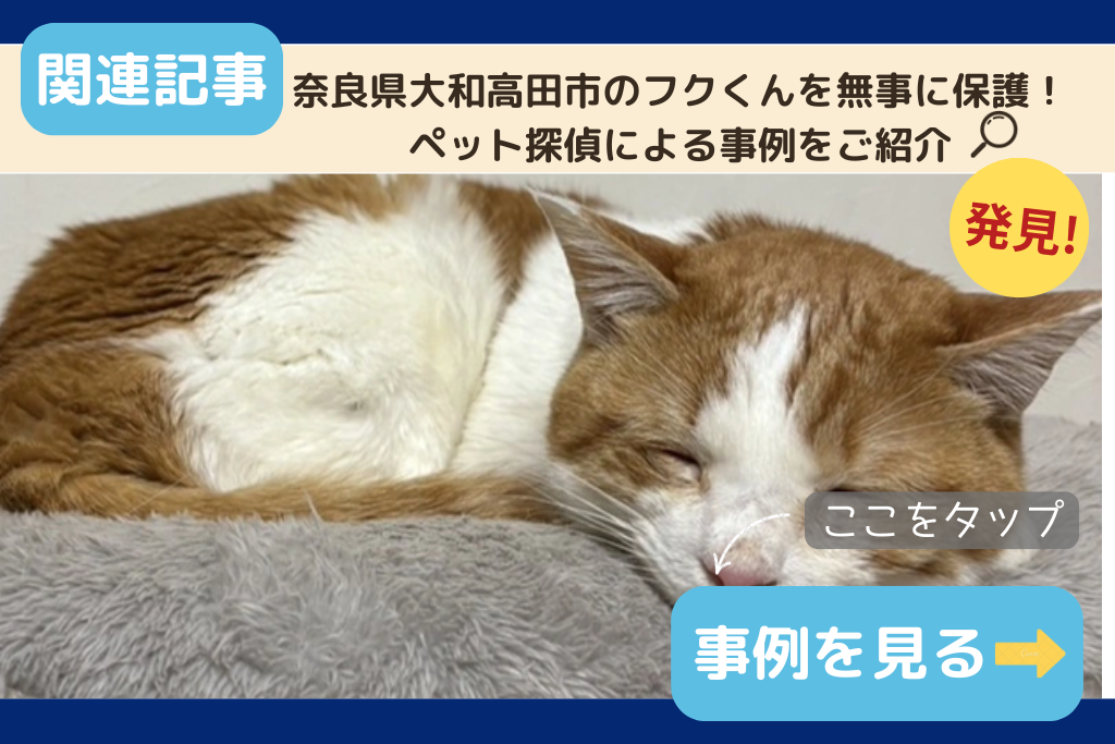 奈良県大和高田市のフクくんを無事に保護！ペット探偵による事例をご紹介