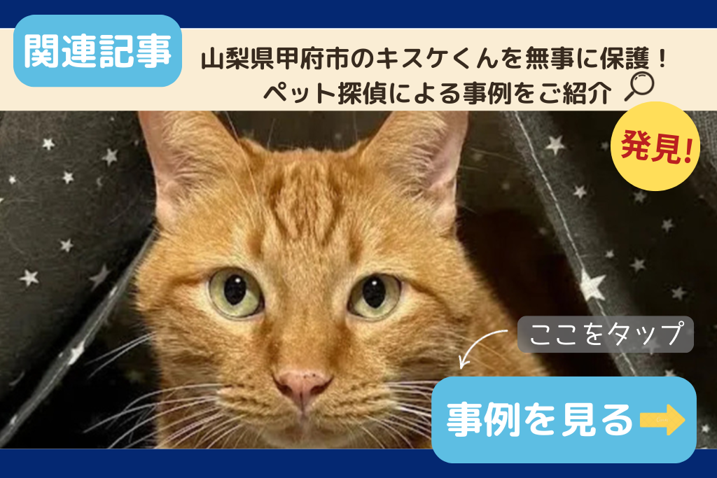 山梨県甲府市のキスケくんを無事に保護！ペット探偵による事例をご紹介