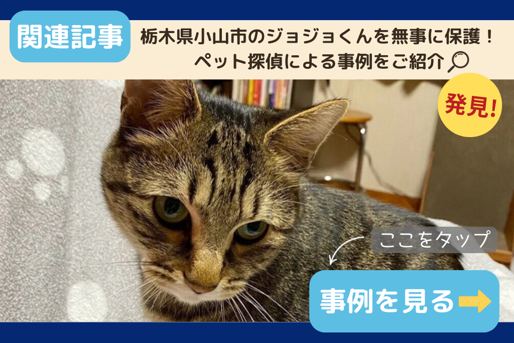 栃木県小山市のジョジョくんを無事に保護！ペット探偵による事例をご紹介