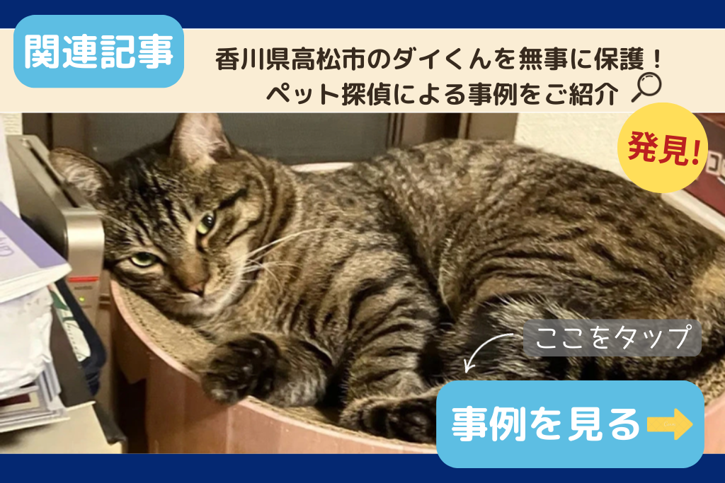 香川県高松市のダイくんを無事に保護！ペット探偵による事例をご紹介