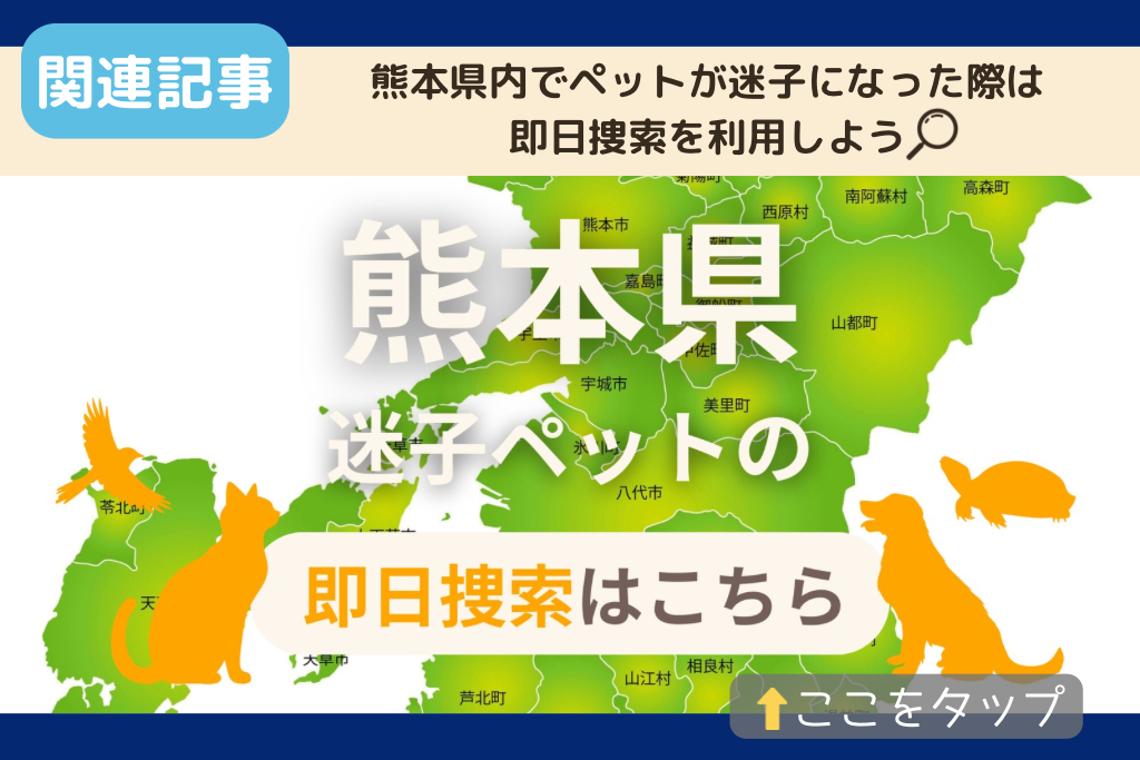 宮崎県でのペット捜索に関連する記事をご紹介