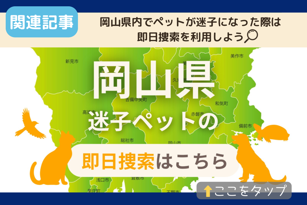 岡山県でのペット捜索に関連する記事をご紹介