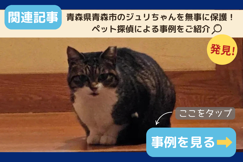 青森県青森市のジュリちゃんを無事に保護!ペット探偵による事例をご紹介