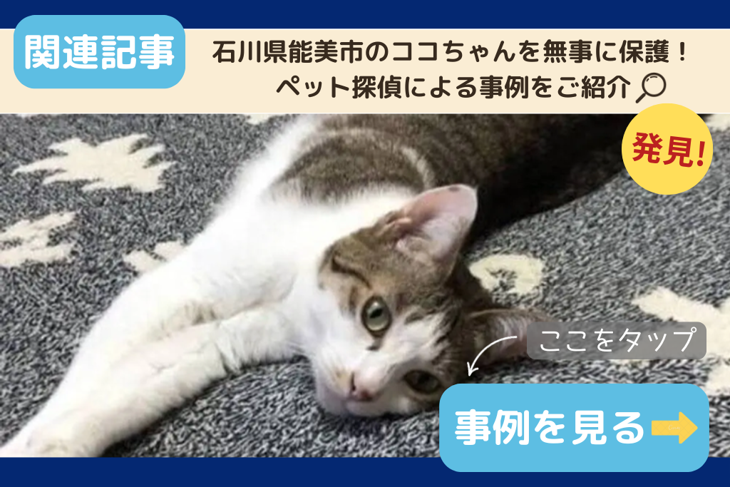 石川県能美市のココちゃんを無事に保護!ペット探偵による事例をご紹介