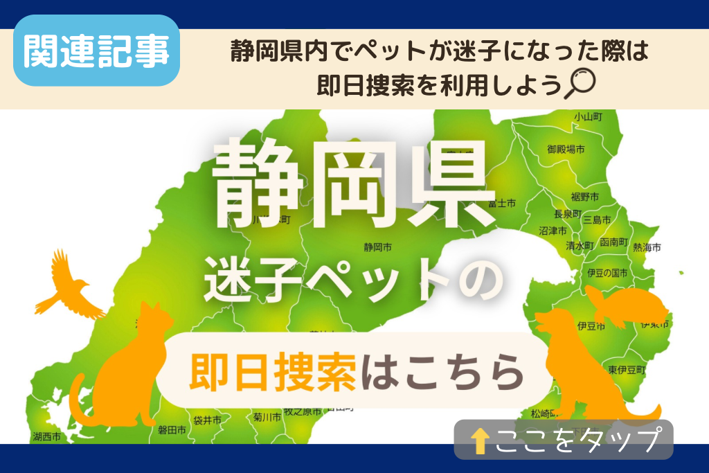 静岡県でのペット捜索に関連する記事を