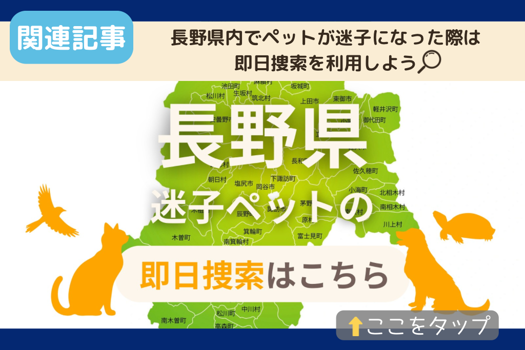 長野県でのペット捜索に関連する記事をご紹介