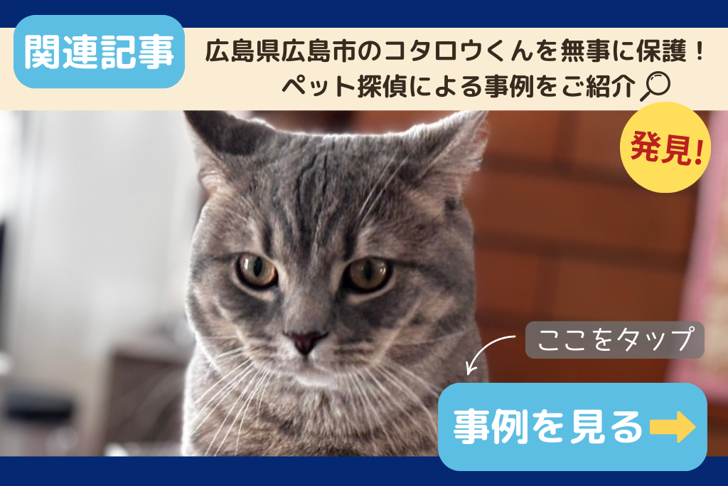 広島県広島市のフクくんを無事に保護!ペット探偵による事例をご紹介