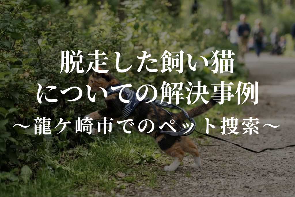 脱走した飼い猫についての解決事例|龍ケ崎市でのペット探偵