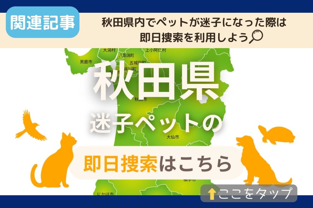 秋田県でのペット捜索に関連する記事をご紹介