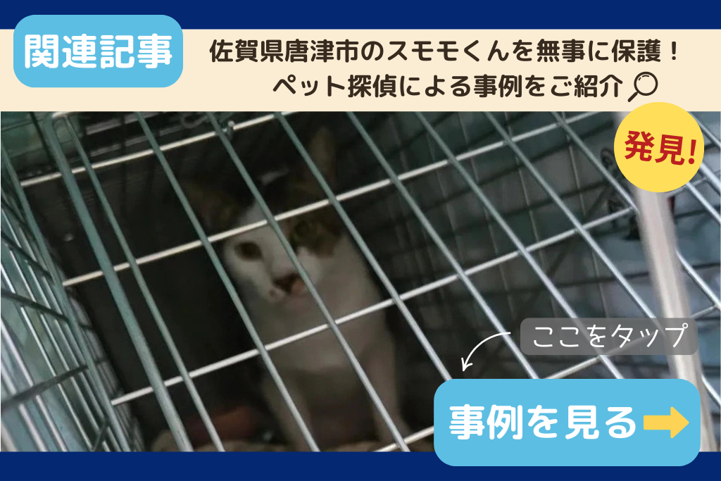 【迷子猫】佐賀県唐津市のスモモくんを無事に保護！ペット探偵による事例をご紹介