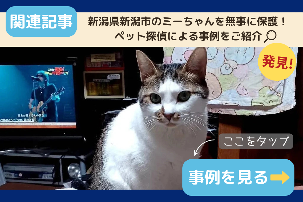【迷子猫】新潟県新潟市のミーちゃんを無事に保護！ペット探偵による事例をご紹介
