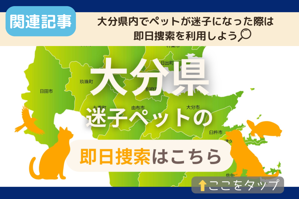 大分県でのペット捜索に関連する記事をご紹介