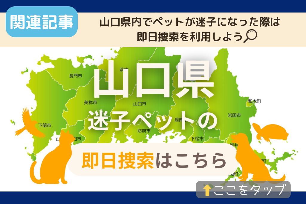 山口県でのペット捜索に関連する記事をご紹介