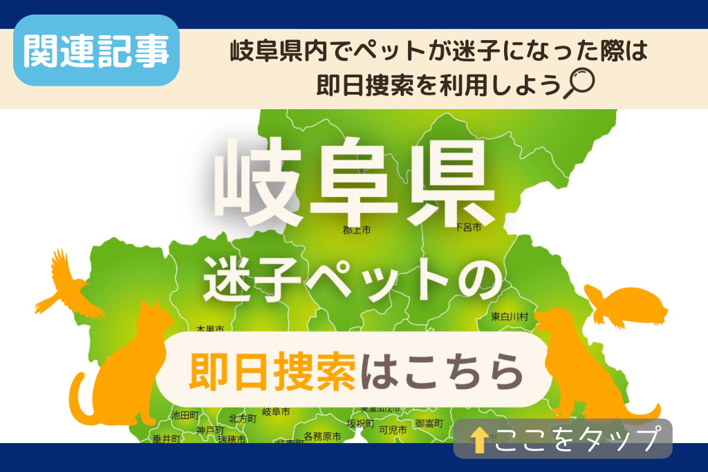 岐阜県でのペット捜索に関連する記事をご紹介