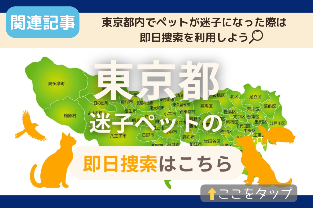 東京都でのペット捜索に関連する記事をご紹介