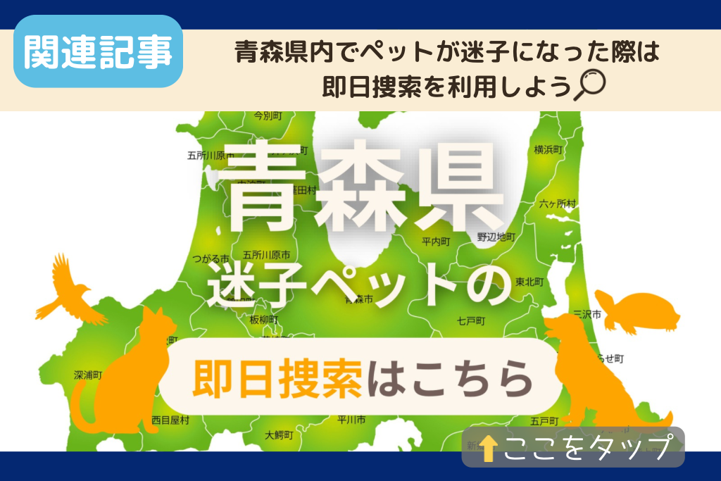 青森県でのペット捜索に関連する記事をご紹介