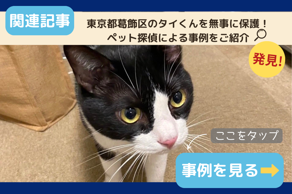 東京都でのペット捜索に関連する記事をご紹介