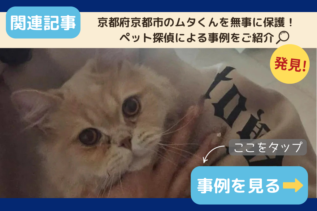 京都府京都市のムタくんを無事に保護！ペット探偵による事例をご紹介
