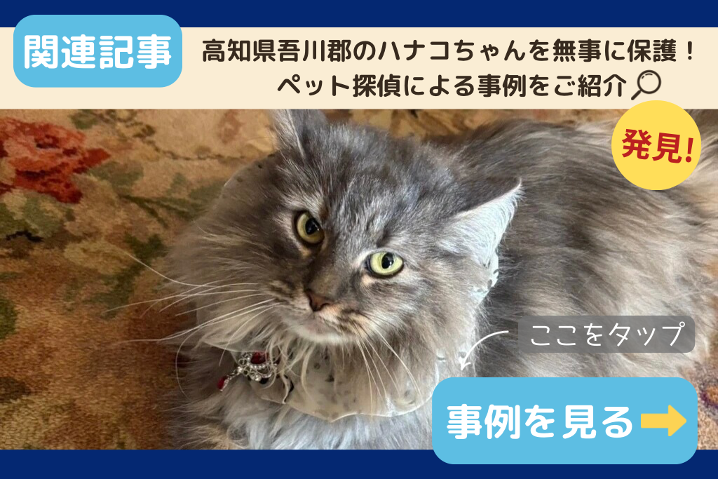高知県吾川郡のハナコちゃんを無事に保護！ペット探偵による事例をご紹介