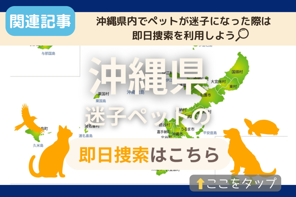 沖縄県でのペット捜索に関連する記事をご紹介