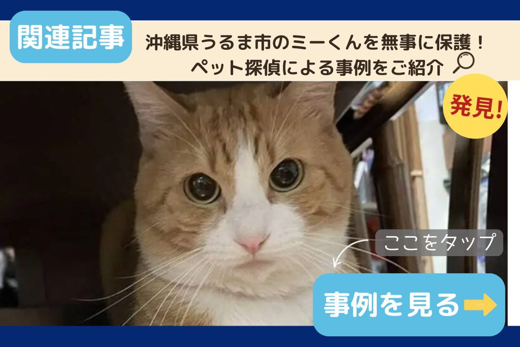 沖縄県うるま市のミーくんを無事に保護！ペット探偵による事例をご紹介