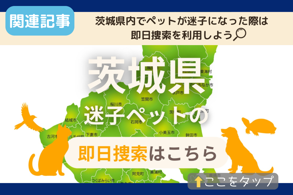 茨城県でのペット捜索に関連する記事をご紹介