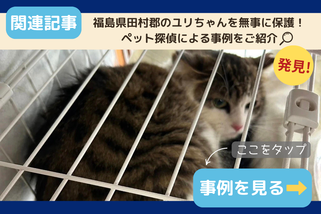【迷子猫】福島県田村郡のユリちゃんを無事に保護！ペット探偵による事例をご紹介