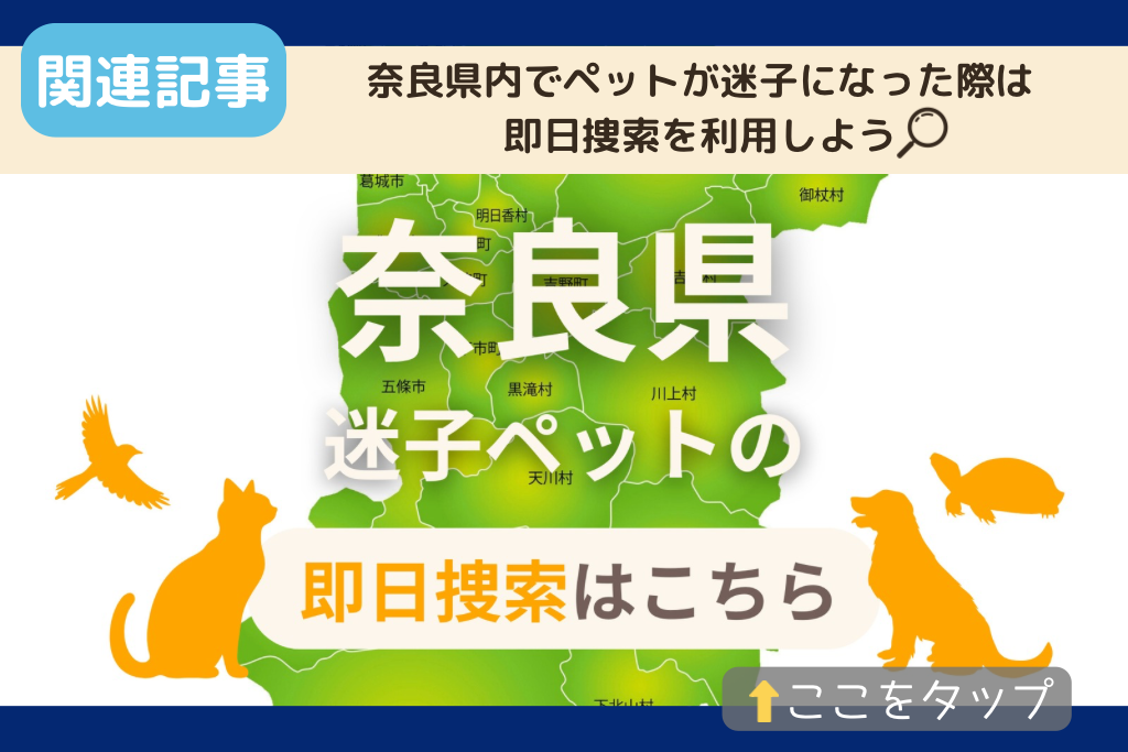 奈良県でのペット捜索に関連する記事をご紹介