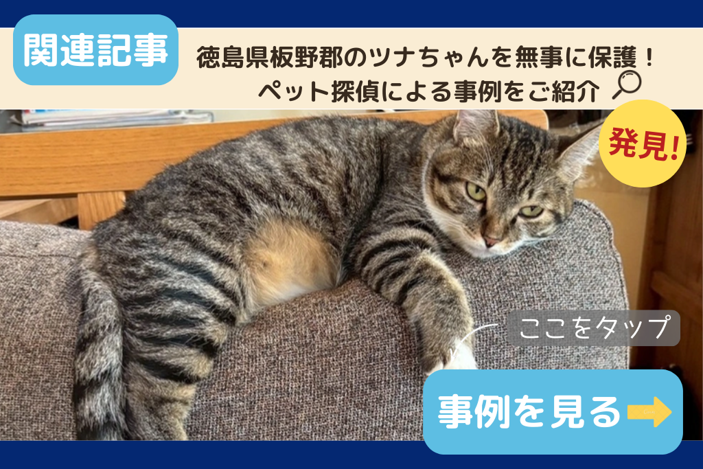 徳島県板野郡のツナちゃんを無事に保護!ペット探偵による事例をご紹介