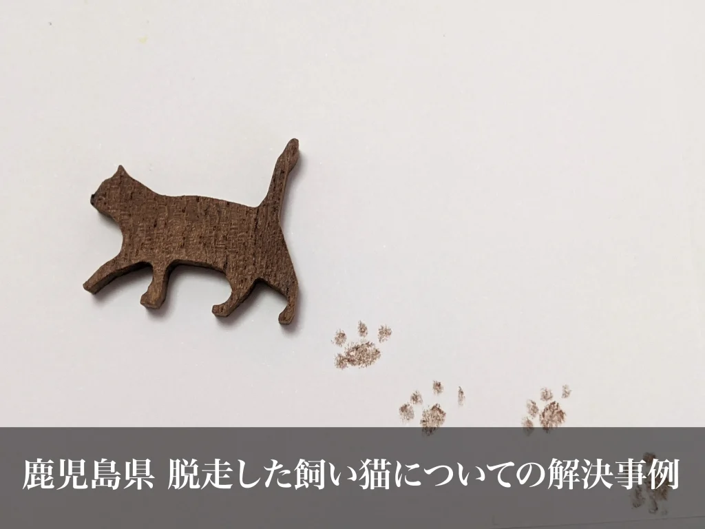 脱走した飼い猫についての解決事例｜鹿児島県ペット探偵