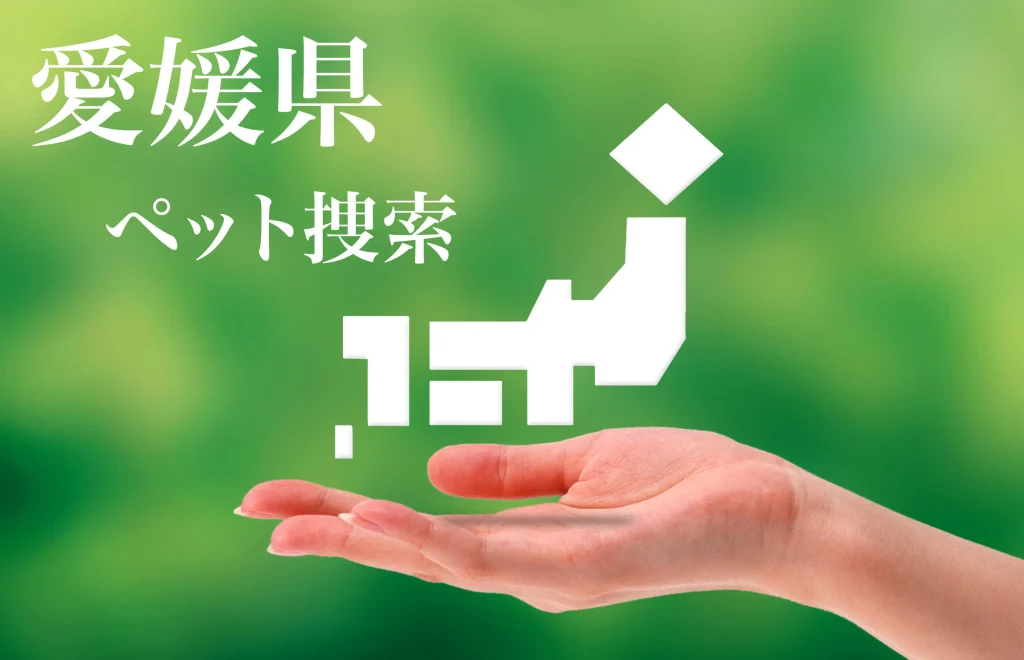 愛媛県内でのペット捜索は即日対応のプライベートアイへ