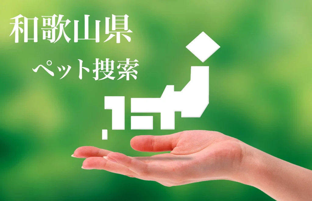 和歌山県内でのペット捜索は即日対応のプライベートアイへ