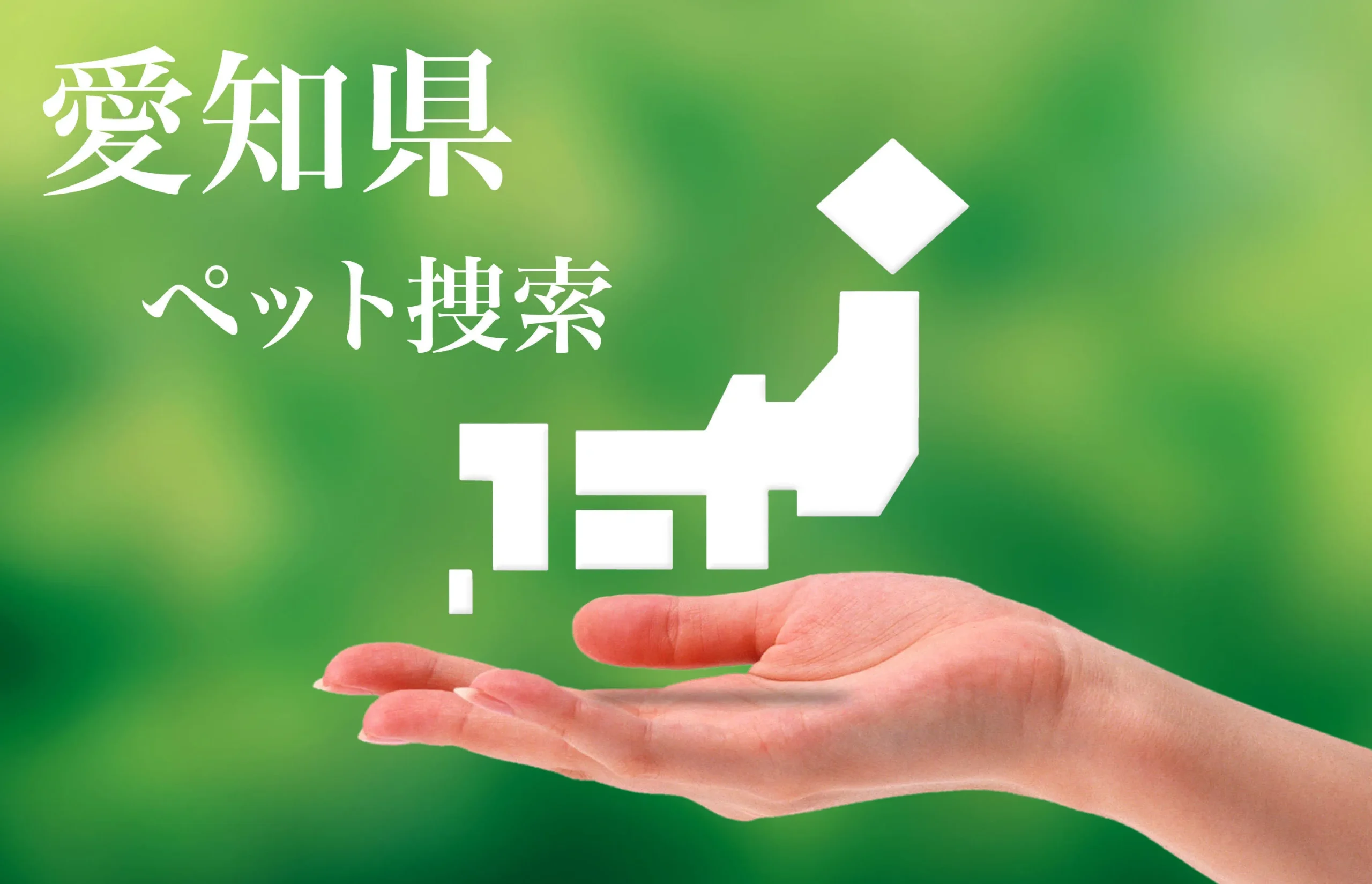 愛知県内でのペット捜索は即日対応のプライベートアイへ - 24時間 